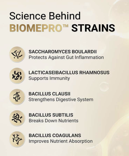 MuscleBlaze Biozyme Gold 100% Whey I 1kg I Double Rich Chocolate