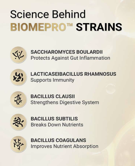 MuscleBlaze Biozyme Gold 100% Whey I 1kg I Chocolate Hazelnut